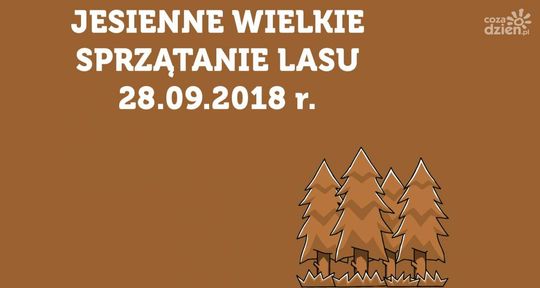 Co zrobić w weekend? Koniecznie sprawdź!