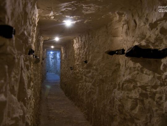 Co zrobić w weekend? Sprawdź!