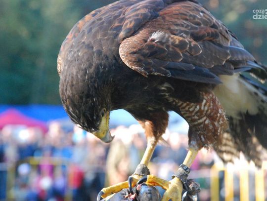 Co zrobić w weekend? Sprawdź!