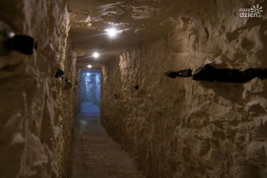 Co zrobić w weekend? Sprawdź!