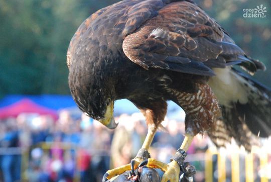 Co zrobić w weekend? Sprawdź!