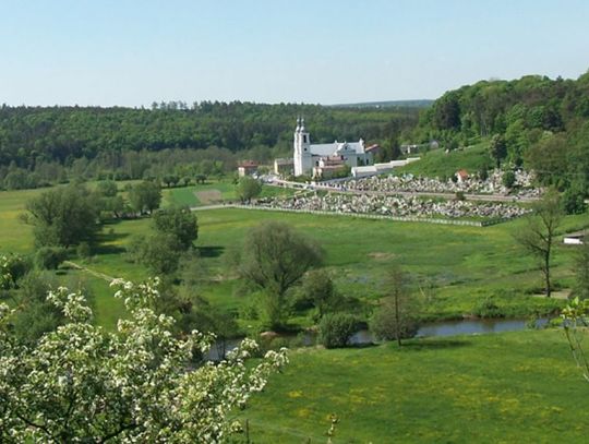 Na kogo głosować? Sprawdź!