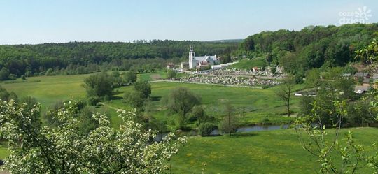 Na kogo głosować? Sprawdź!
