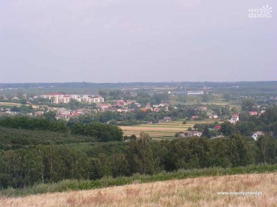 Na kogo głosować? Sprawdź!