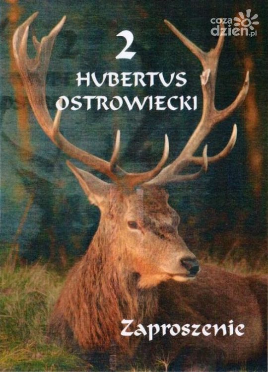 Sprawdź, co dzieje się w weekend