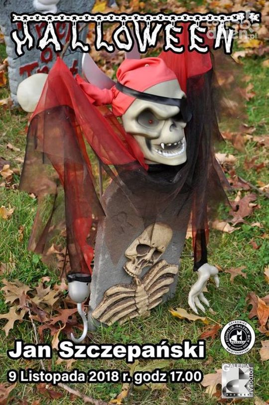 Weekendowy rozkład jazdy - sprawdź, co się będzie działo