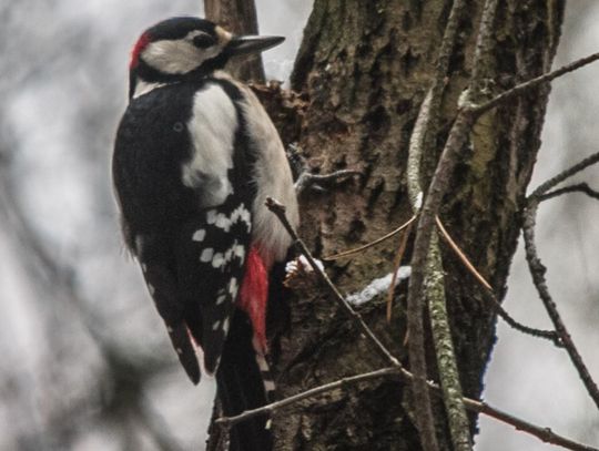 Nie wiesz, co zrobić w weekend? Sprawdź!