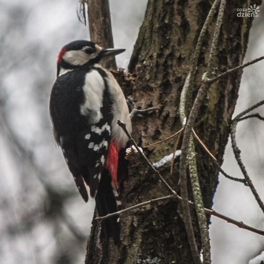 Nie wiesz, co zrobić w weekend? Sprawdź!