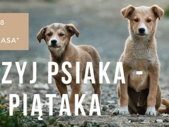 Propozycje na weekend