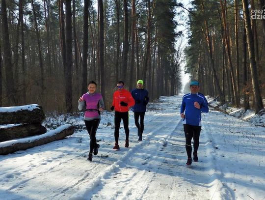 Propozycje na weekend