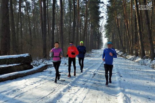 Propozycje na weekend