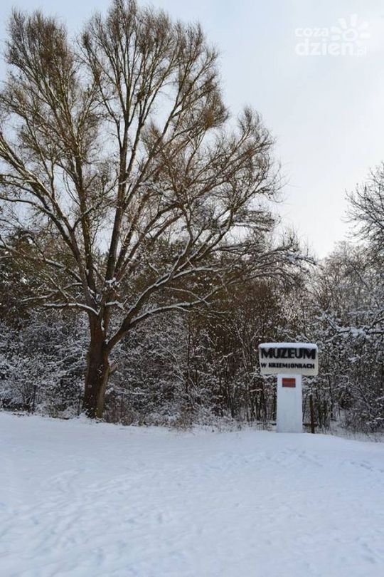 Propozycje na weekend
