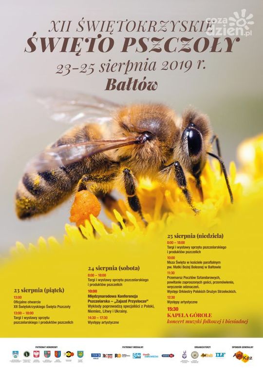 Propozycje na weekend