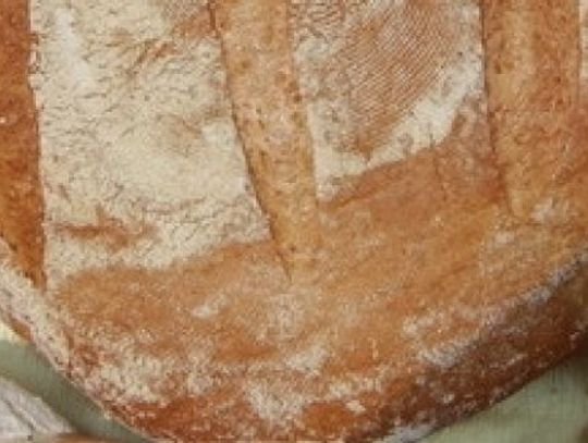 Propozycje na weekend