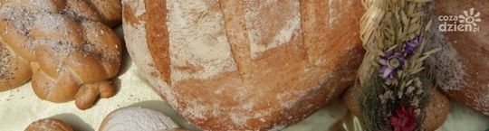 Propozycje na weekend