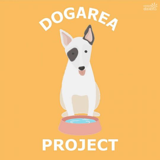 Weekendowy rozkład jazdy