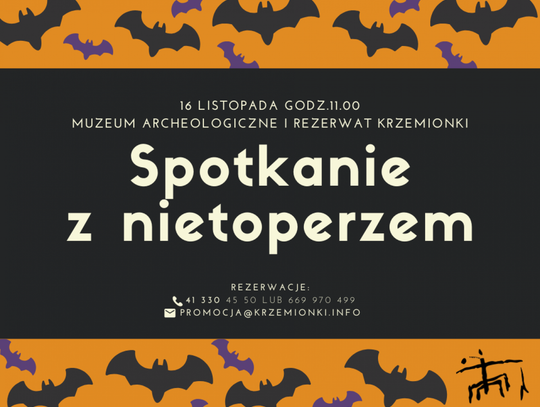 Weekendowy rozkład jazdy