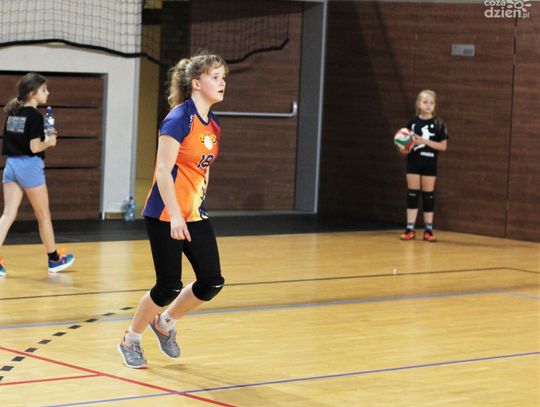 Volley Stars Cup 2019 - zdjęcia