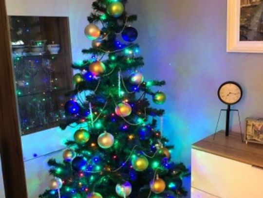 Piękne drzewka naszych czytelników