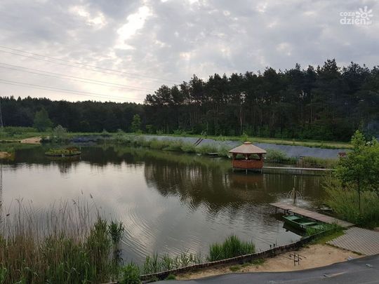 Propozycje na weekend