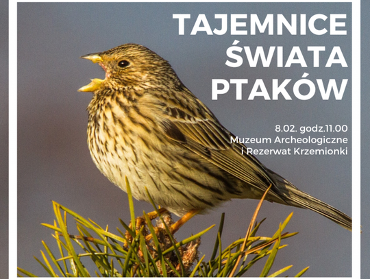 Propozycje na weekend