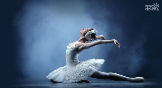 Weekendowy rozkład jazdy