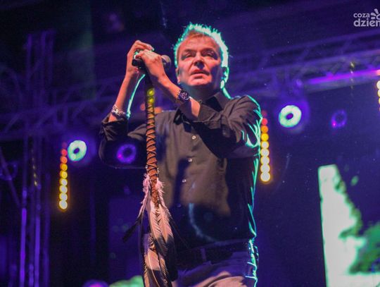 Wilki zagrały na Dzień Kobiet - zdjęcia