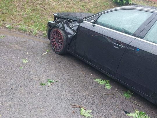 Powalone drzewa uszkodziły samochody 