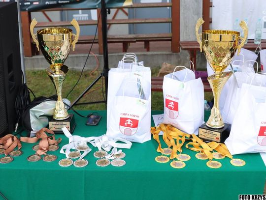 IV Turniej Siatkówki Plażowej w Cedzynie