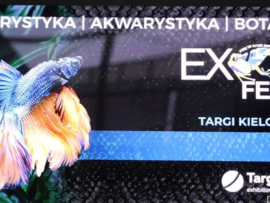 Exotic Fest Kielce (zdjęcia)