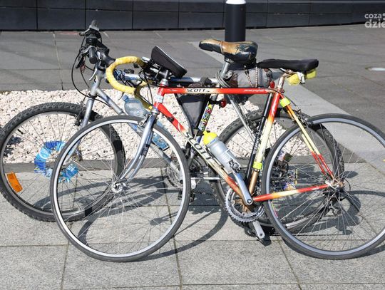 Co Za Jazda z Radiem Rekord Strawczyn 2024 (galeria)