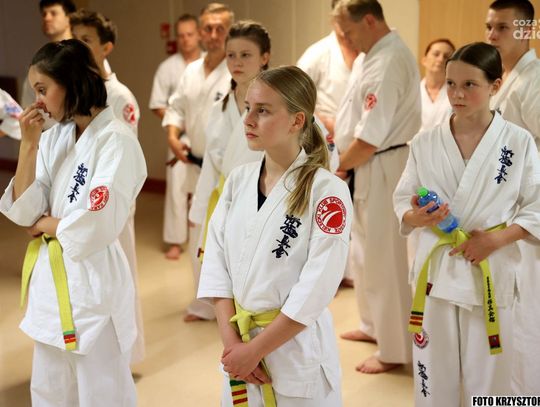 Festiwal Sztuk Walki (zdjęcia)