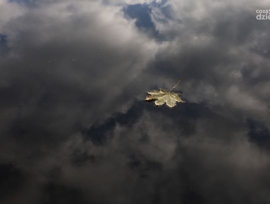 Kielecka złota jesień 